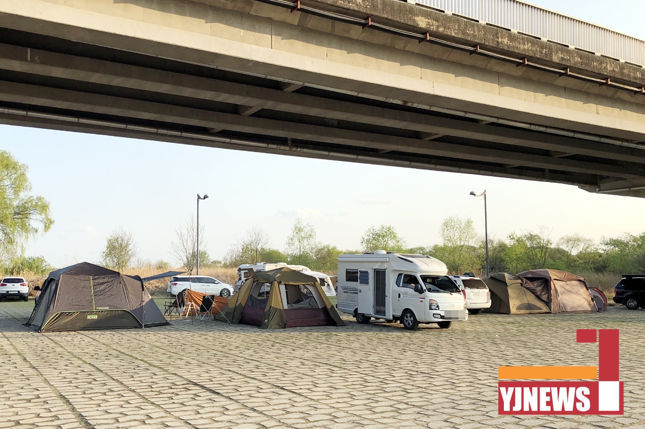 지난 주말 캠핑족들이 이포보 공용주차장을 차지한 채 텐트를 치고 야영을 즐겨 마치 난민촉을 연상케 하고 있다.